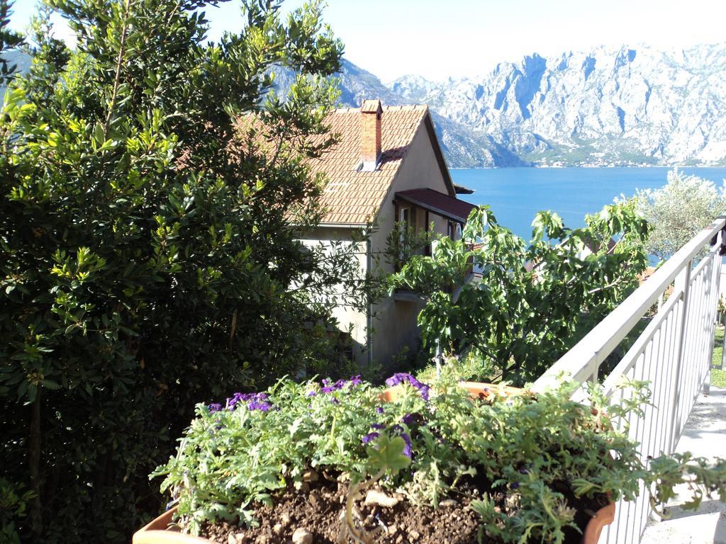 Guest House Pajovic Kotor Exterior foto